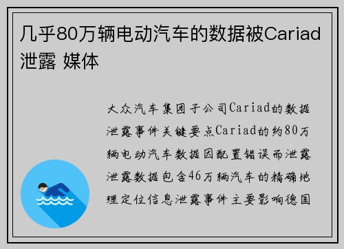 几乎80万辆电动汽车的数据被Cariad泄露 媒体